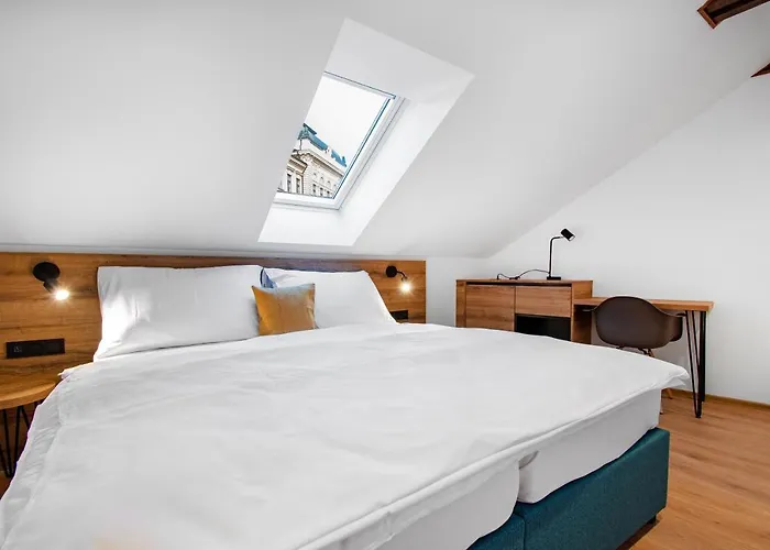 Vista * 쿤타호라